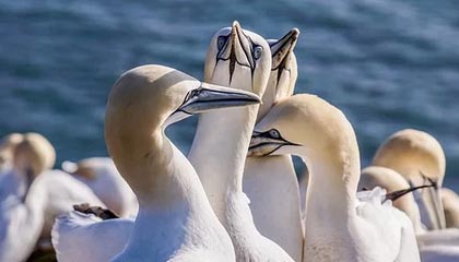 C7娱乐|电子竞技赛事v6.7.7