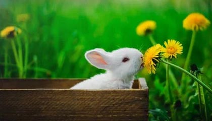 C7娱乐|跑步赛事v6.1.4